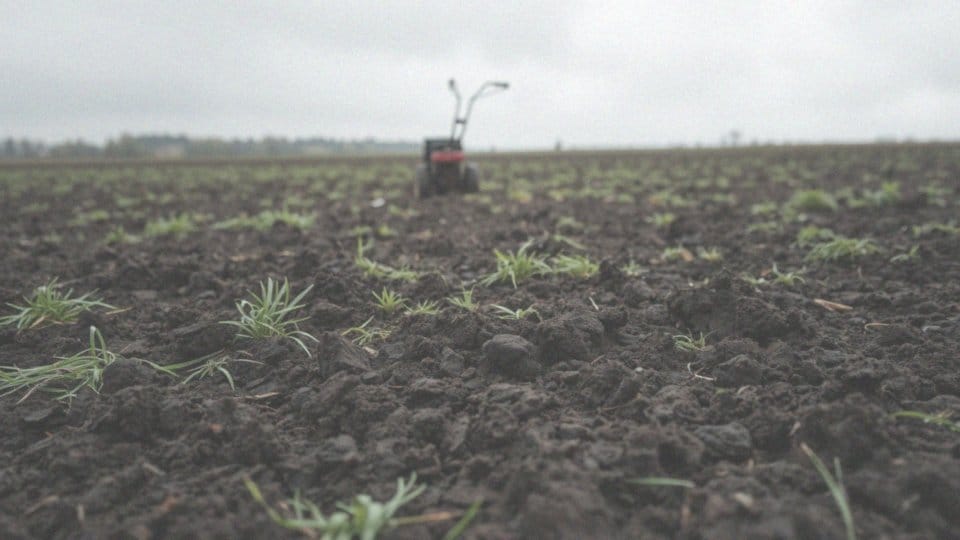 Jakie metody mechanicznego usunięcia starej darni?