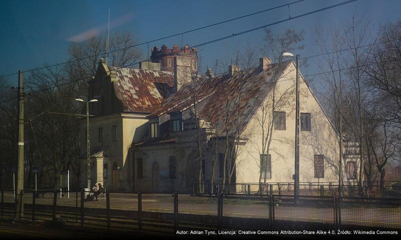 Bugaj (Ozorków)