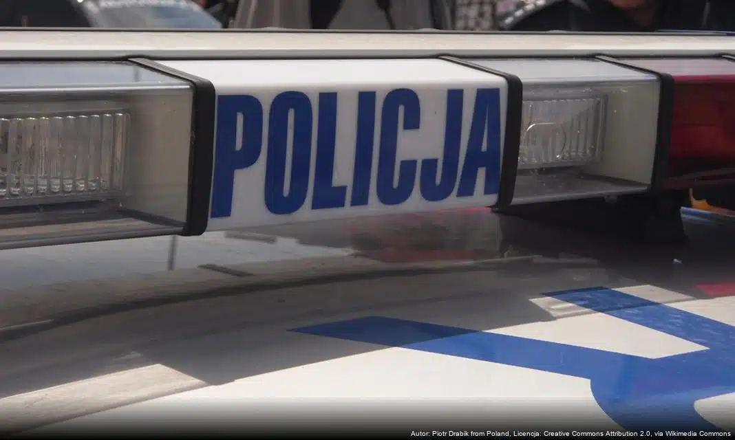 Ważność legalnych źródeł w zakupie choinek na Święta