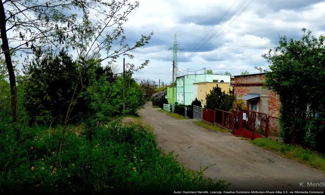 Nabór wniosków o wsparcie zawodowe w Ozorkowie