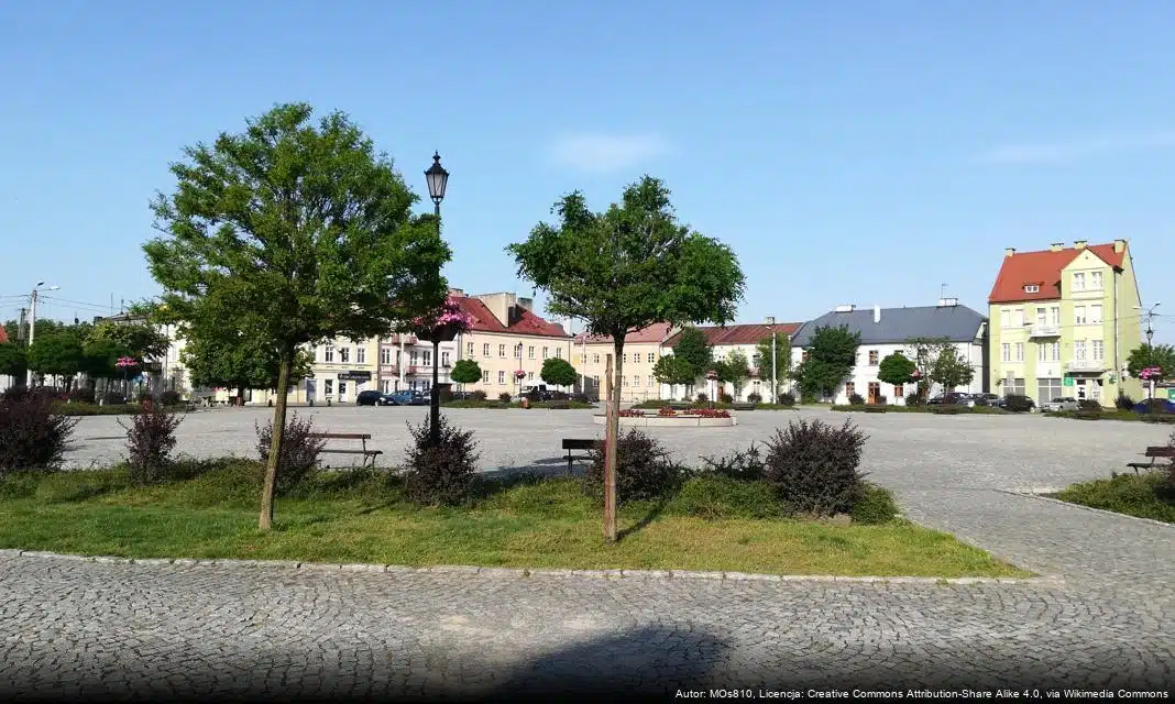 Ozorków z rekordową kwotą dla WOŚP podczas 34. Finału