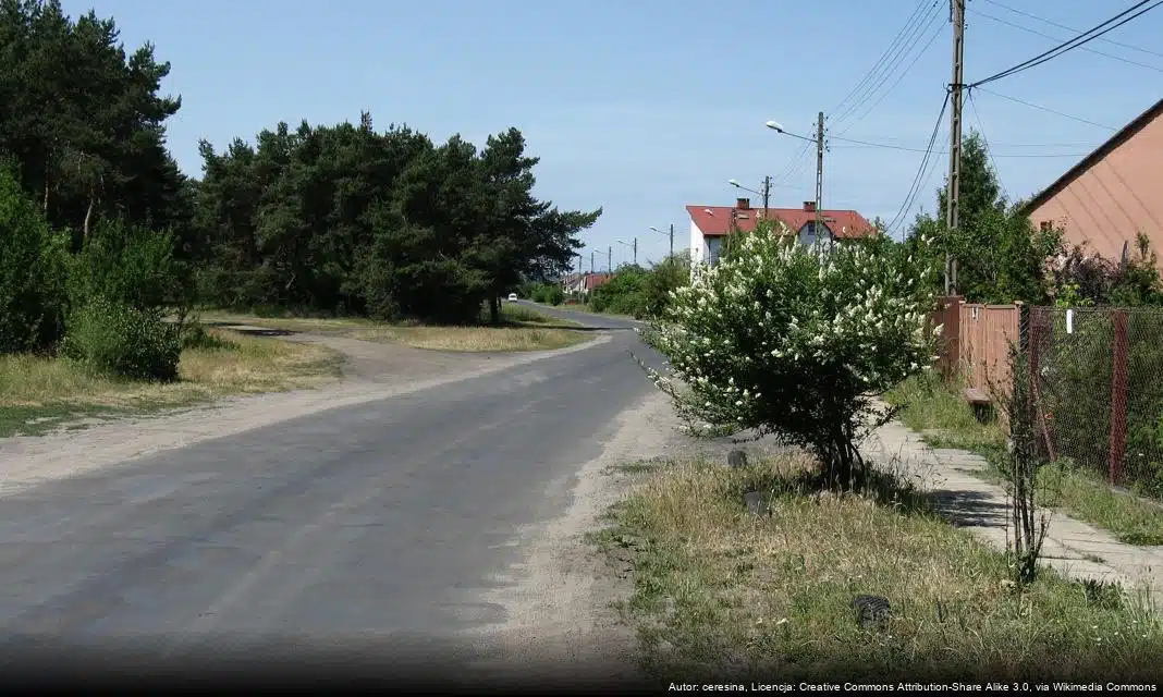 Nabór na stanowisko rzeczoznawcy do szacowania zwierząt w Ozorkowie