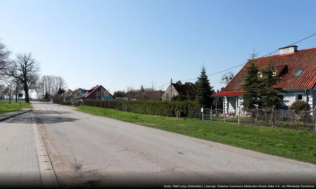 Problematyka grypy ptaków i jej skutki dla drobiu w Ozorkowie