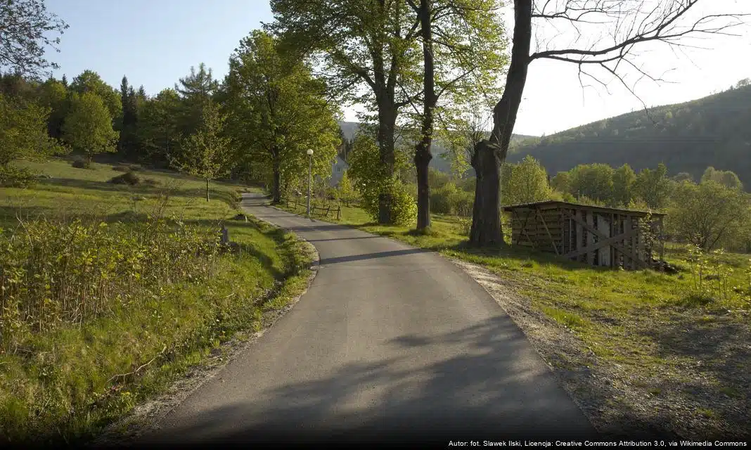 Otwarcie lodowiska w Ozorkowie – ważna informacja dla mieszkańców