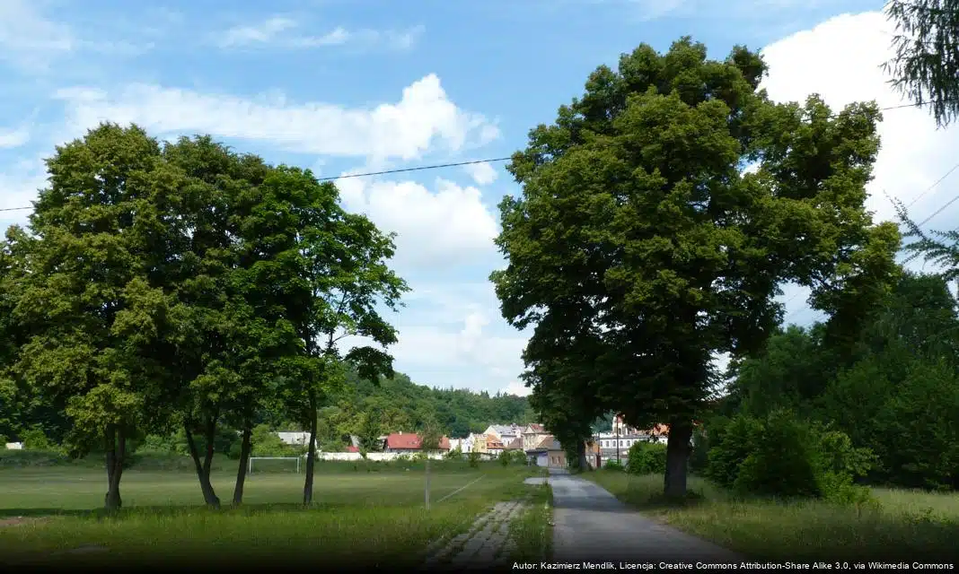 Nowe komputery dla uczniów w Ozorkowie dzięki Krajowemu Planowi Odbudowy