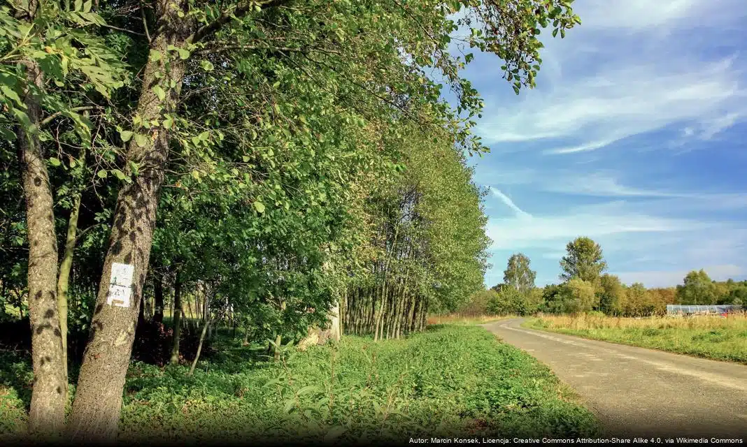 Modernizacja placów zabaw w Ozorkowie w ramach programu „Aktywne Place Zabaw” 2025